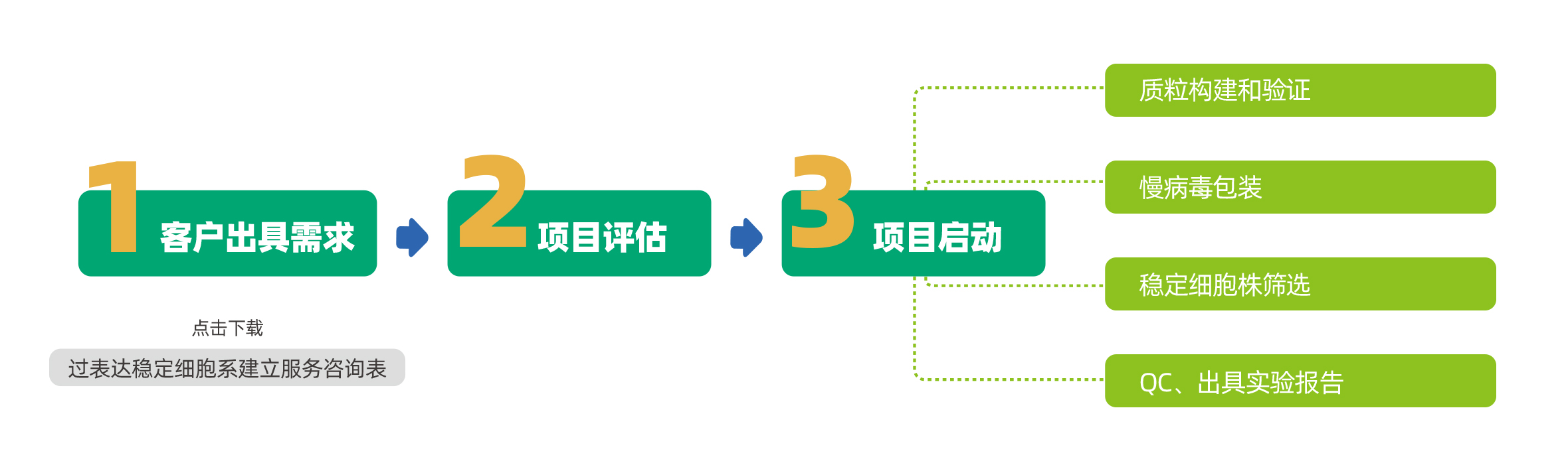 維真生物穩(wěn)定細(xì)胞系建立服務(wù)流程