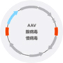 維真載體庫