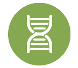 分子生物學(xué)